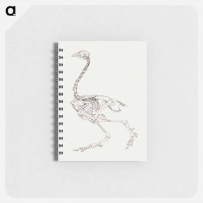 アートメモ帳-Fowl Skeleton, Lateral View
 - ジョージ スタッブス Memo.