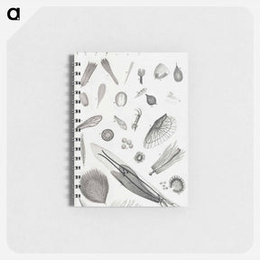 アートメモ帳-Microscopic Objects
 - ゴールドスミスの生き生きとした自然 Memo.