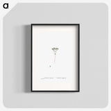 2-21_Histoire-des-Plantes-Grasses_blk