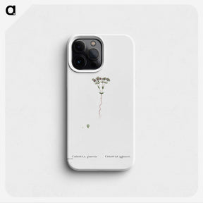 2-21_Histoire-des-Plantes-Grasses_phone