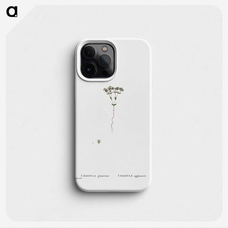 2-21_Histoire-des-Plantes-Grasses_phone