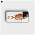 2-21_Ichtyologie-ou-Histoire-naturelle_phone