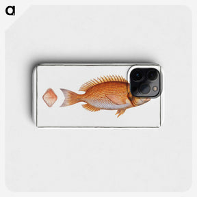 2-21_Ichtyologie-ou-Histoire-naturelle_phone