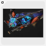 2-21_Insects-Unlocked-Project_picture-crop