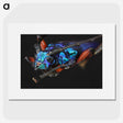 2-21_Insects-Unlocked-Project_picture