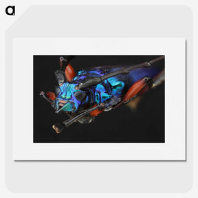 2-21_Insects-Unlocked-Project_picture