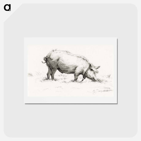 アートポストカード-Standing pig in the grass - ジャン ベルナール Postcard.