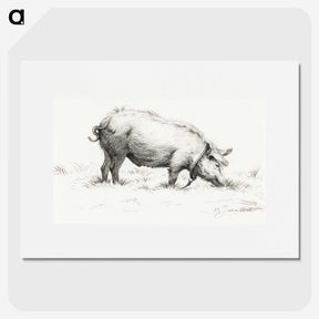 2-21_Jean-Bernard_picture