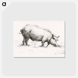 アートポストカード-Standing pig in the grass - ジャン ベルナール Postcard.