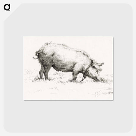 アートポストカード-Standing pig in the grass - ジャン ベルナール Postcard.