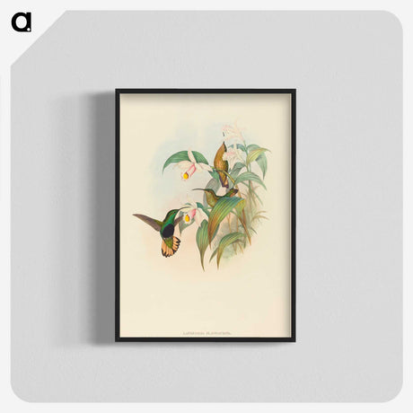 2-21_John-Gould_blk-crop
