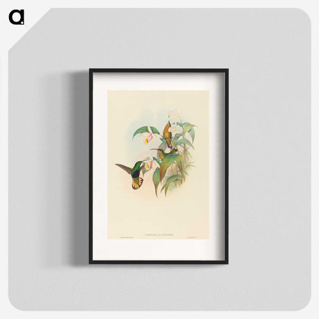 2-21_John-Gould_blk