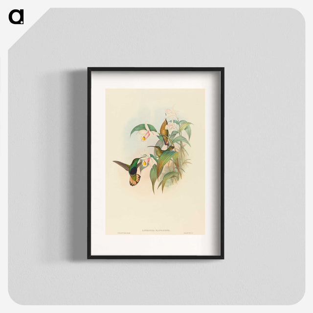 2-21_John-Gould_blk