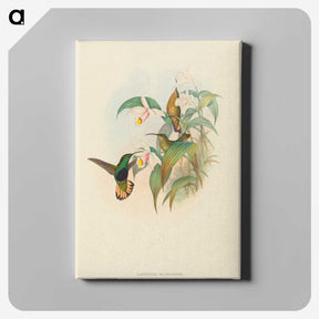 2-21_John-Gould_canvas