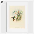 2-21_John-Gould_picture
