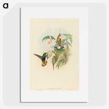 2-21_John-Gould_picture