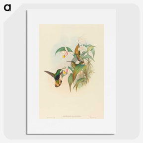2-21_John-Gould_picture