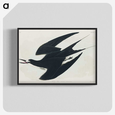 2-21_John-James-Audubon_blk-crop