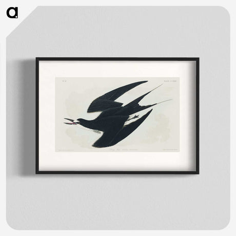 2-21_John-James-Audubon_blk