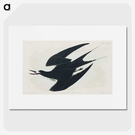 2-21_John-James-Audubon_picture