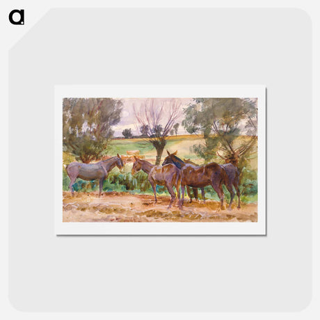 アートポストカード-Mules - ジョン シンガー サージェント Postcard.