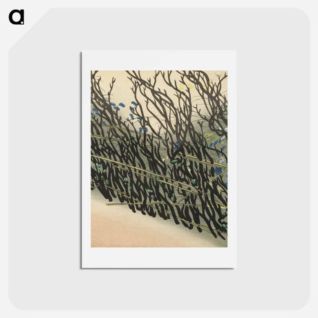 アートポストカード-Hedge from Momoyogusa–Flowers of a Hundred Generations - 神坂 雪佳 Postcard.