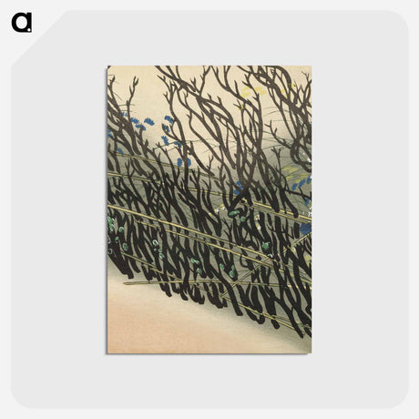 アートポストカード-Hedge from Momoyogusa–Flowers of a Hundred Generations - 神坂 雪佳 Postcard.