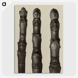 2-21_Karl-Blossfeldt_picture-crop