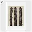 2-21_Karl-Blossfeldt_picture