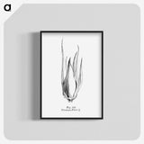 2-21_Les-Palmiers-Histoire-Iconographique_blk-crop