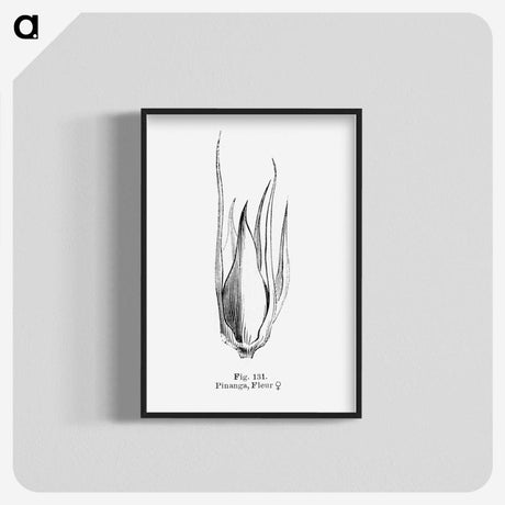 2-21_Les-Palmiers-Histoire-Iconographique_blk-crop