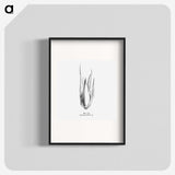 2-21_Les-Palmiers-Histoire-Iconographique_blk