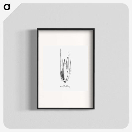 2-21_Les-Palmiers-Histoire-Iconographique_blk