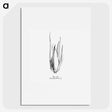 2-21_Les-Palmiers-Histoire-Iconographique_picture