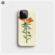 2-21_Maria-Sibylla-Merian_phone