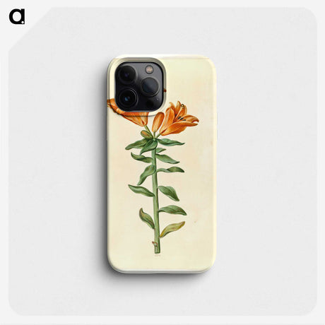2-21_Maria-Sibylla-Merian_phone