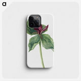 2-21_Mary-Vaux-Walcott_phone