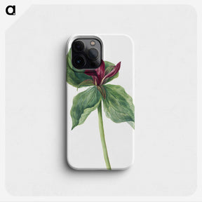 2-21_Mary-Vaux-Walcott_phone