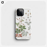 2-21_Maurice-Pillard-Verneuil_phone
