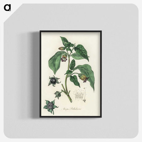 2-21_Medical-Botany_blk-crop
