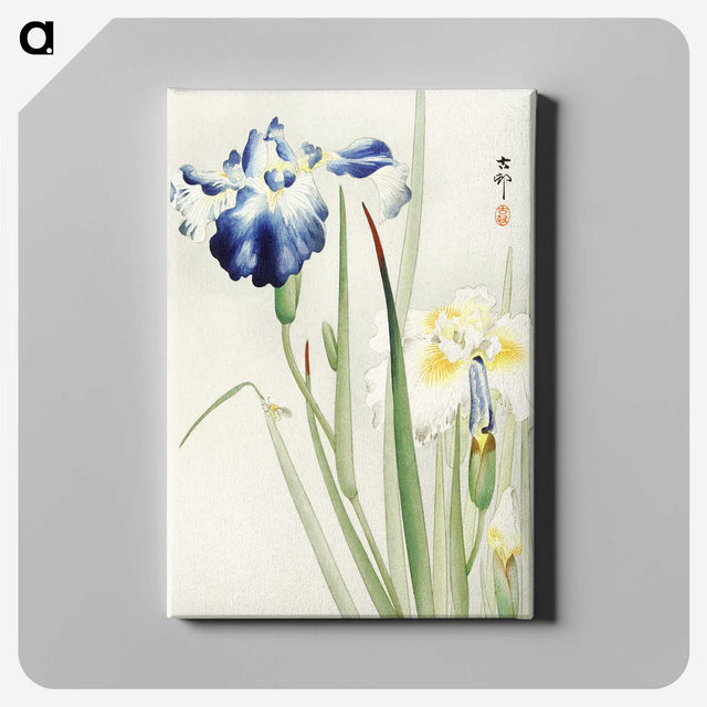 2-21_Ohara-Koson_canvas