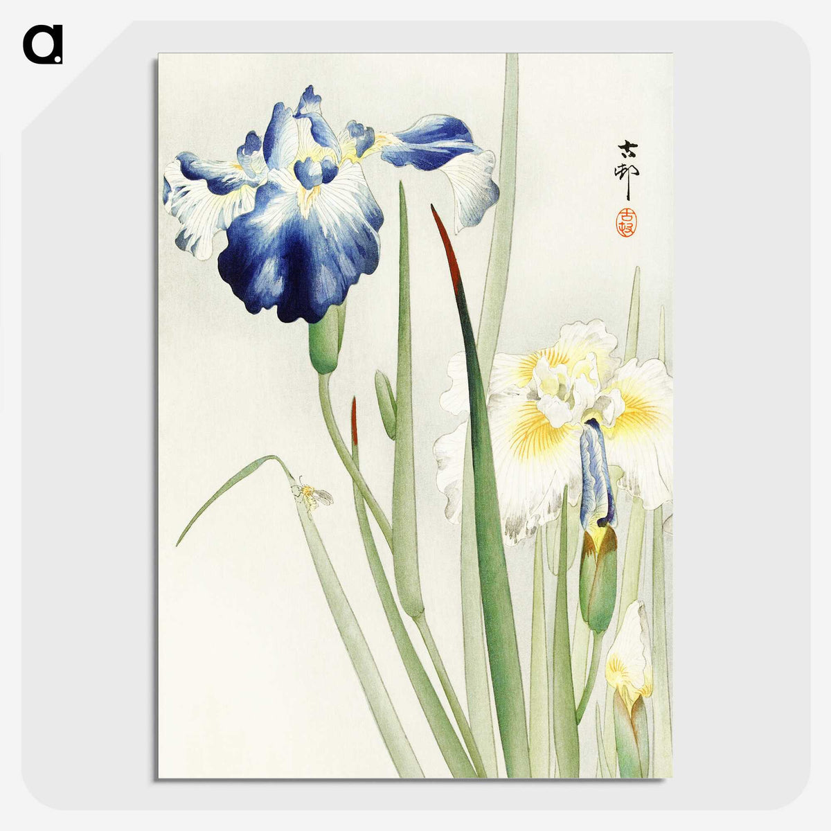 2-21_Ohara-Koson_picture-crop