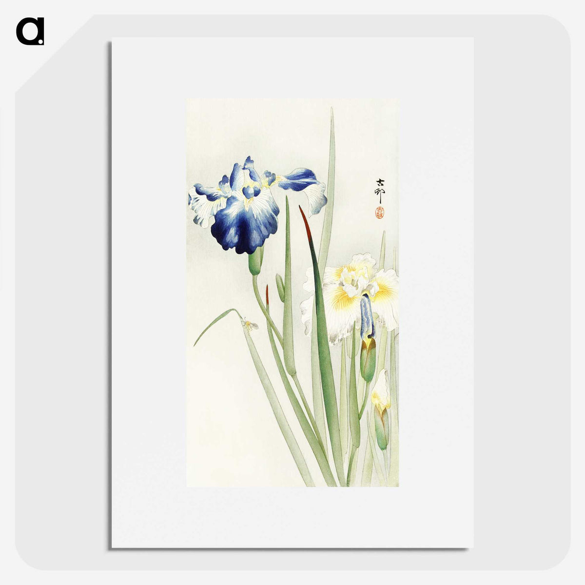 2-21_Ohara-Koson_picture