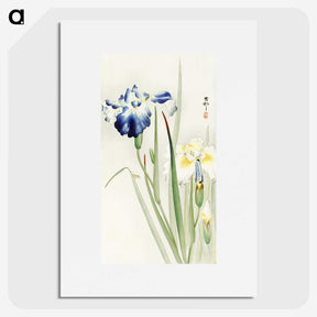 2-21_Ohara-Koson_picture