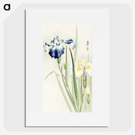 2-21_Ohara-Koson_picture