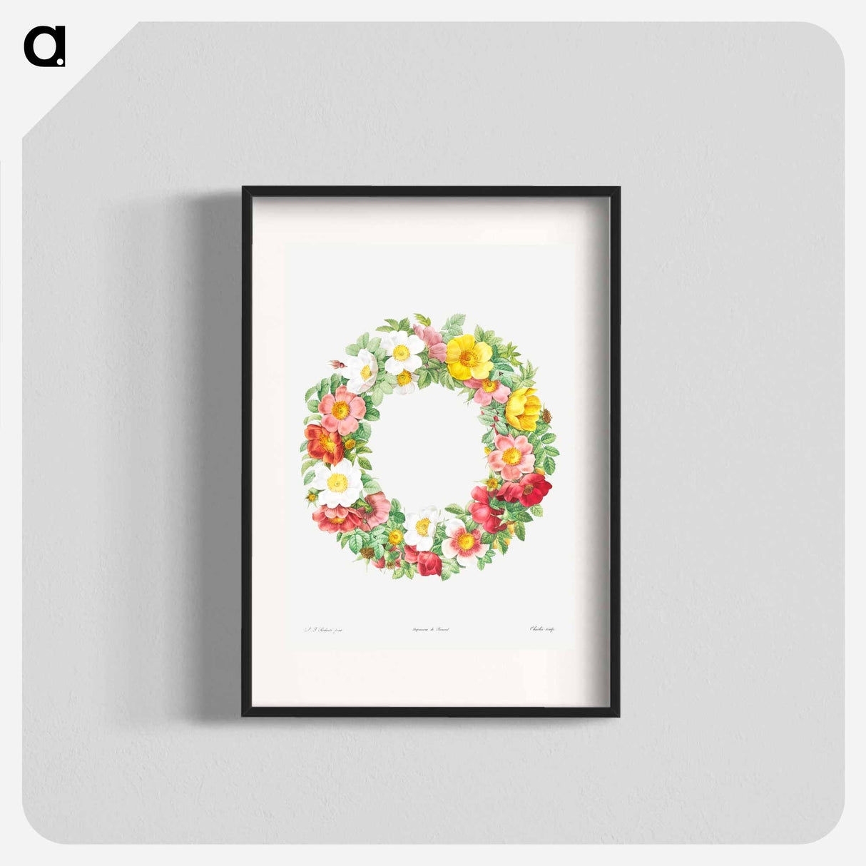 Roses - Pierre Joseph Redouté Poster.