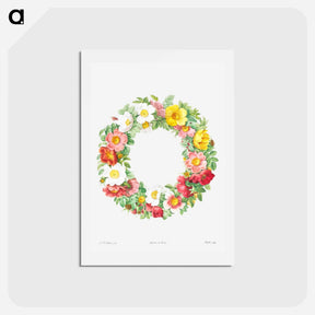 アートポストカード-Roses - ピエール ジョゼフ ルドゥーテ Postcard.