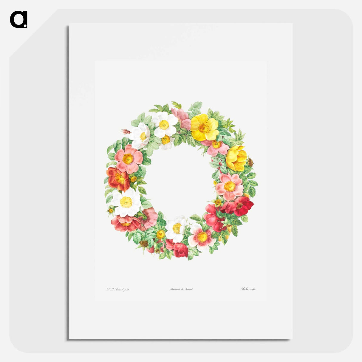 Roses - Pierre Joseph Redouté Poster.