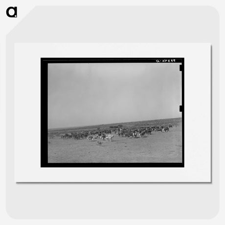 2-21_Russell-Lee_picture