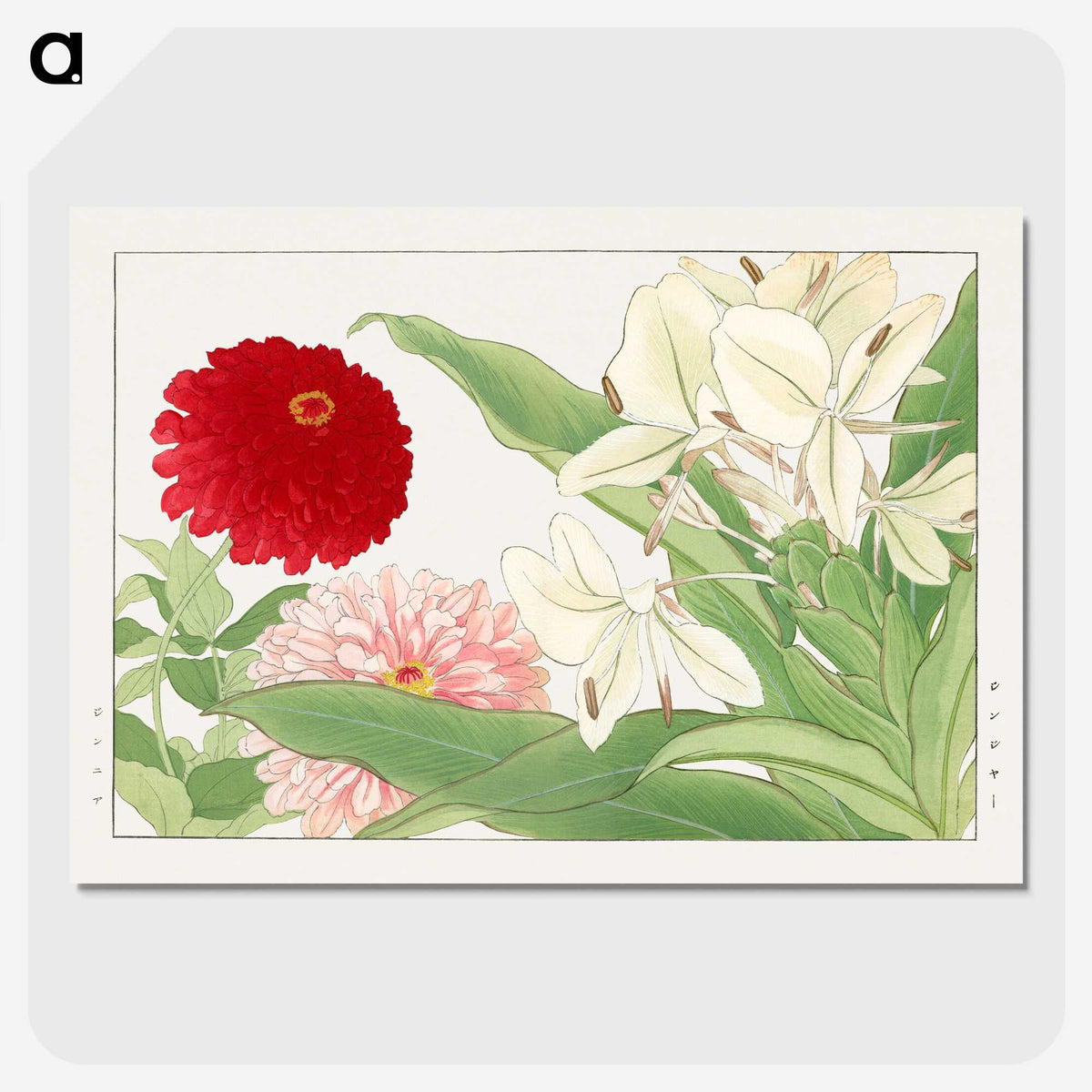 2-21_Seiyo-Soka-Zufu_picture-crop